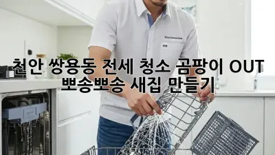 천안 쌍용동 전세 청소, 곰팡이 OUT! ✨ 뽀송뽀송 새집 만들기 🏡