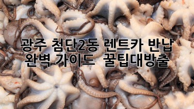 광주 첨단2동 렌트카 반납 완벽 가이드! 🚗💨 #꿀팁대방출