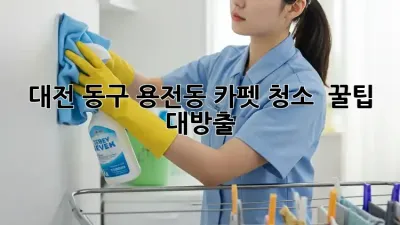 대전 동구 용전동 카펫 청소 ✨ 꿀팁 대방출! ✨